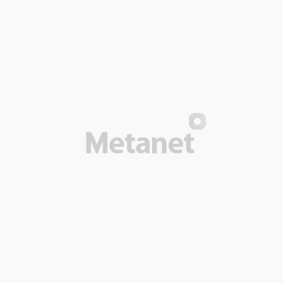 메타넷티플랫폼, IT 인프라스트럭처 전문 기업 '지티플러스' 인수